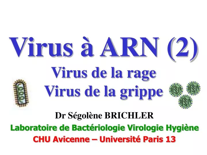 virus arn 2 virus de la rage virus de la grippe