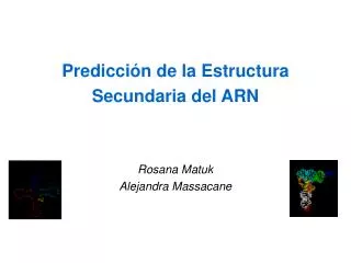 Predicción de la Estructura Secundaria del ARN Rosana Matuk Alejandra Massacane