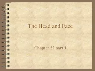 The Head and Face