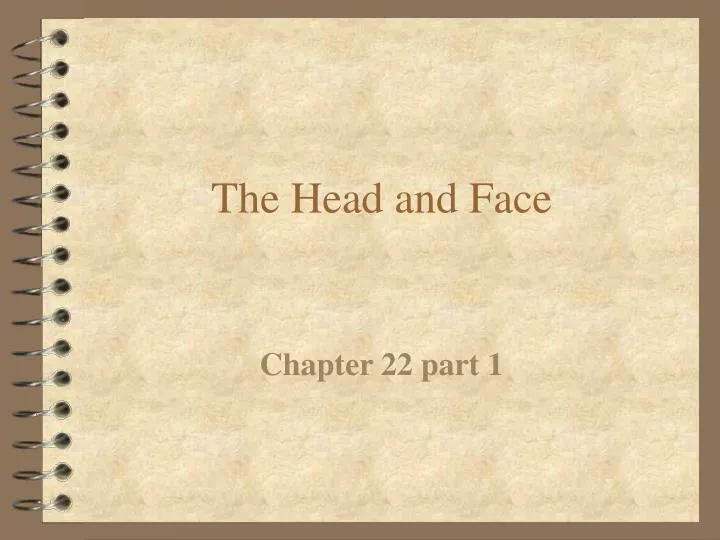 the head and face