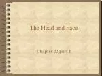 PPT - Head and Face Anatomy PowerPoint Presentation, free download - ID ...