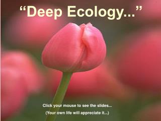 “Deep Ecology...”