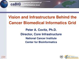 Vision and Infrastructure Behind the Cancer Biomedical Informatics Grid