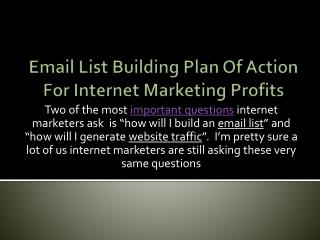 Email List Building Plan Of Action For Internet Marketing Pr