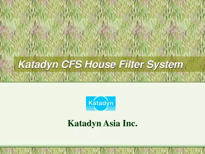 katadyn cfs house filter system