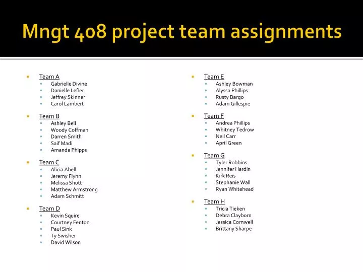 mngt 408 project team assignments