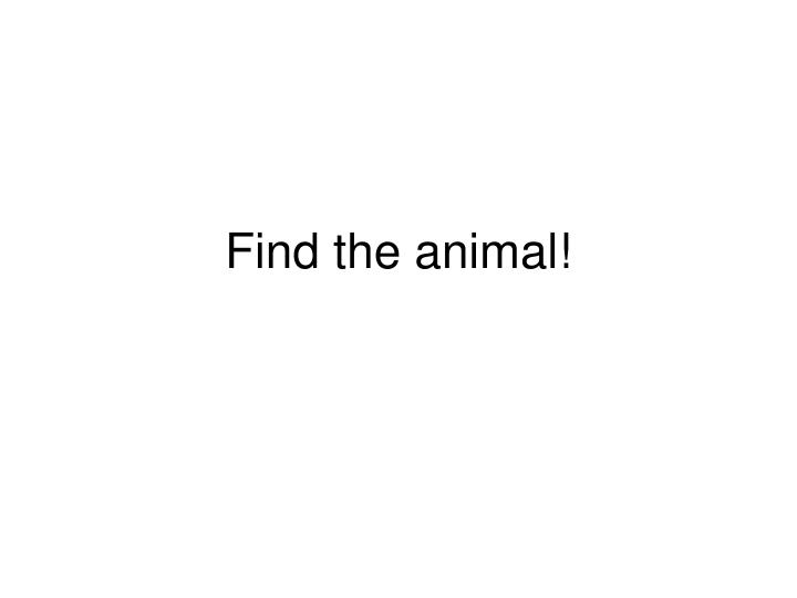 find the animal