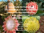 ANÁLISIS DE FACTILIBILIDAD DEL DESARROLLO DE UN CULTIVO DE PROTEAS (FLOR HORNAMENTAL) EN EL ECUADOR Y SU COMERCIALIZACI - slide 1