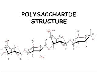 POLYSACCHARIDE STRUCTURE