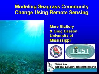 Modeling Seagrass Community Change Using Remote Sensing