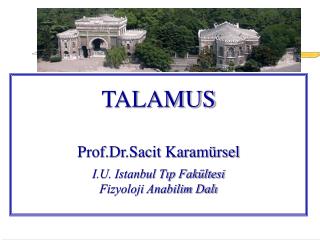 TALAMUS Prof.Dr.Sacit Karamürsel I.U. Istanbul Tıp Fakültesi Fizyoloji Anabilim Dalı