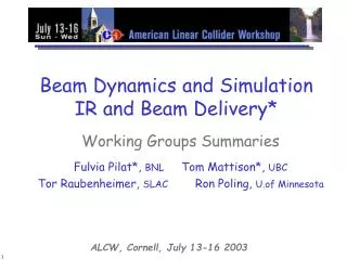 Beam Dynamics and Simulation IR and Beam Delivery*