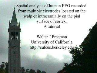 Tutorial on Spatial analysis of human EEG