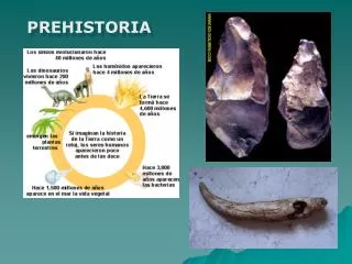 PREHISTORIA