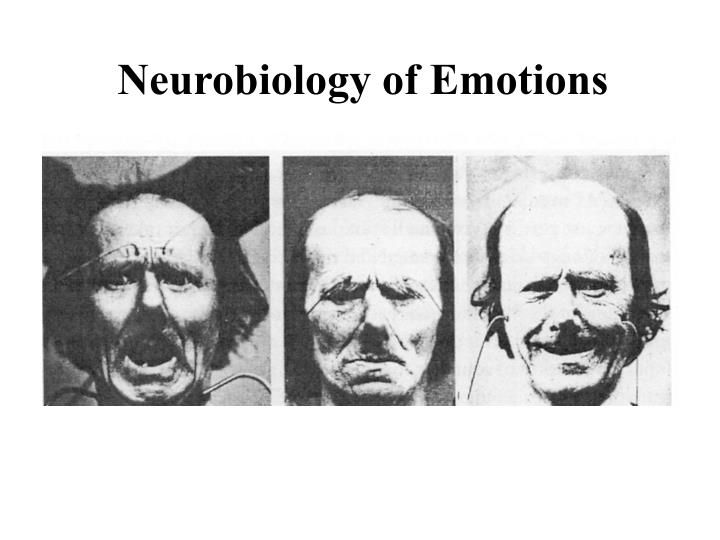 neurobiology of emotions