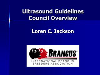 Ultrasound Guidelines Council Overview