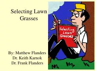 Selecting Lawn Grasses
