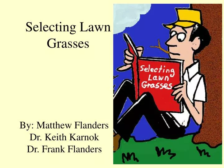 selecting lawn grasses