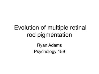 Evolution of multiple retinal rod pigmentation