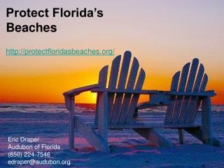 Protect Florida’s Beaches protectfloridasbeaches/