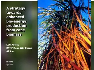 A strategy towards enhanced bio-energy production from cane biomass