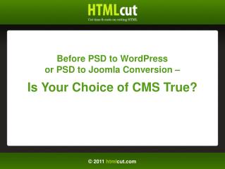 Before PSD to WordPress Conversion - Is You