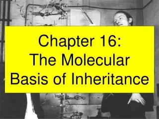 Chapter 16: The Molecular Basis of Inheritance