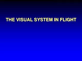 THE VISUAL SYSTEM IN FLIGHT