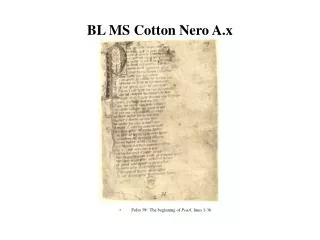 BL MS Cotton Nero A.x