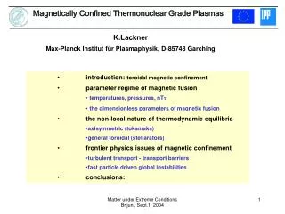 Magnetically Confined Thermonuclear Grade Plasmas