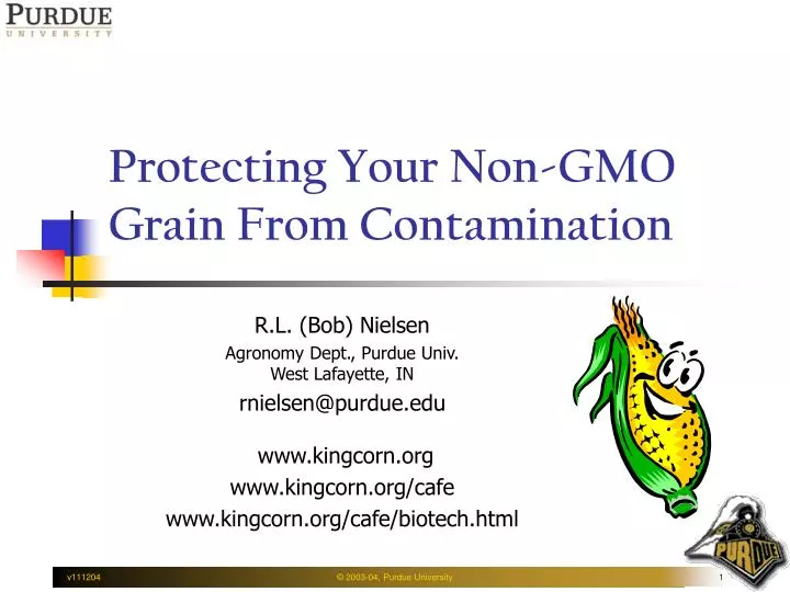 protecting your non gmo grain from contamination