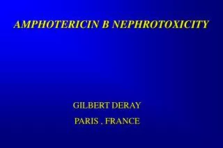 AMPHOTERICIN B NEPHROTOXICITY