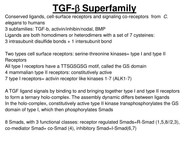 tgf b superfamily