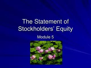 The Statement of Stockholders’ Equity