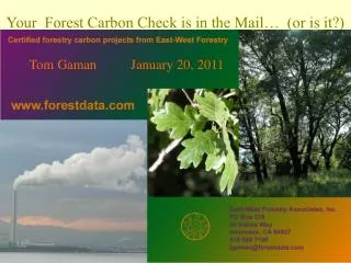 Your Forest Carbon Check is in the Mail… (or is it?)