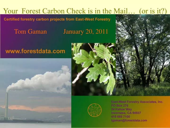 your forest carbon check is in the mail or is it