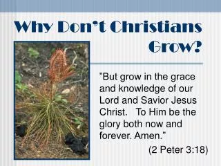 Why Don’t Christians Grow?