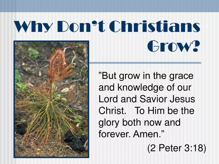 why don t christians grow