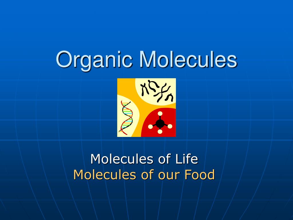 PPT - Organic Molecules PowerPoint Presentation, free download - ID:201815