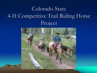 Colorado State 4-H Competitive Trail Riding Horse Project