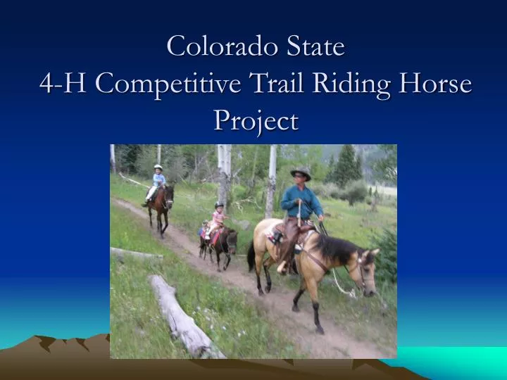 colorado state 4 h competitive trail riding horse project