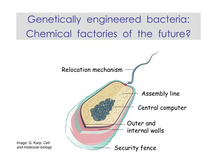 genetically engineered bacteria chemical factories of the future