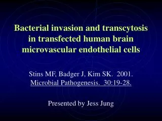 Bacterial invasion and transcytosis in transfected human brain microvascular endothelial cells