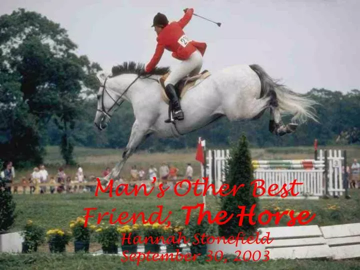 man s other best friend the horse hannah stonefield september 30 2003