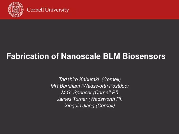 fabrication of nanoscale blm biosensors