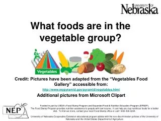 What foods are in the vegetable group?