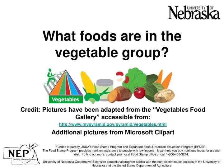 what foods are in the vegetable group