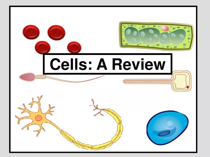 cells a review