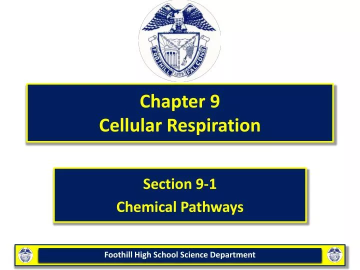 chapter 9 cellular respiration