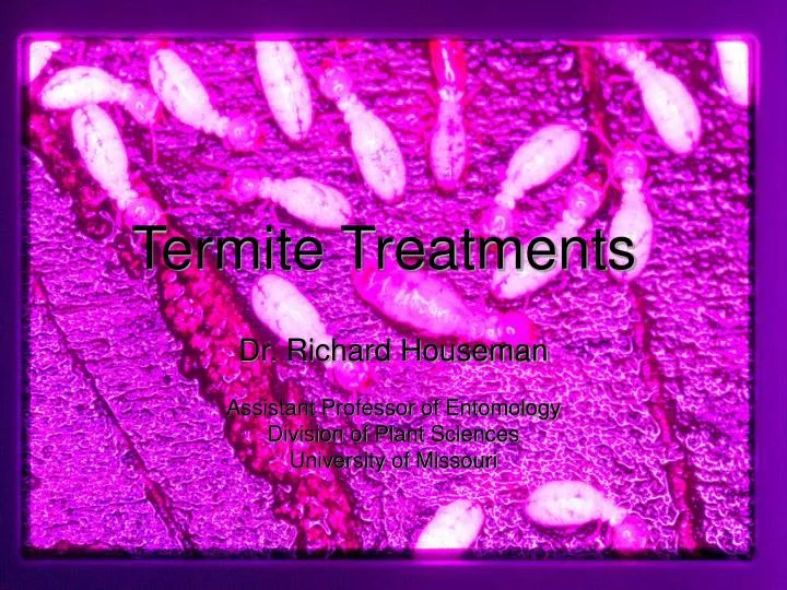 termite treatments